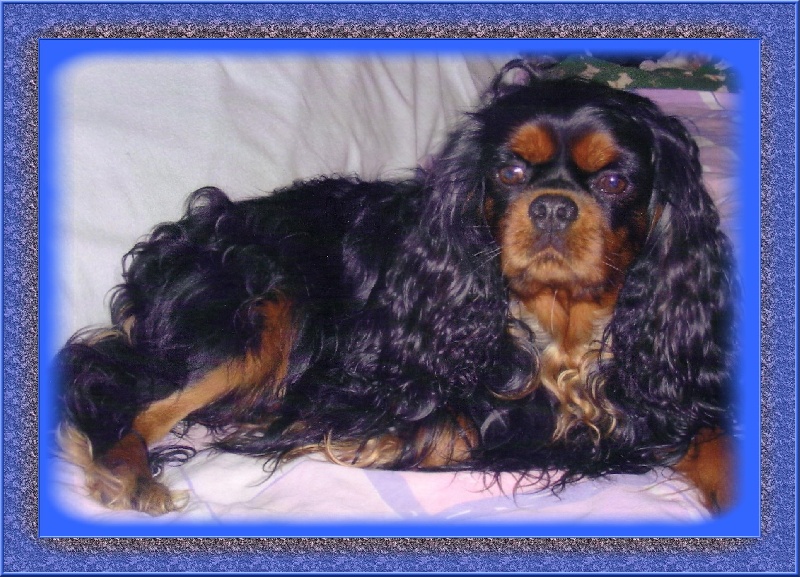 Petit opium Des Frimousses Calines