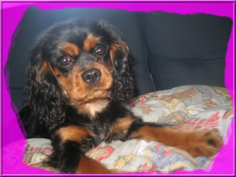 Bridget Des Frimousses Calines