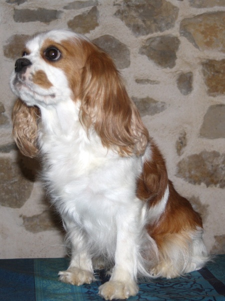 Emeline Des Frimousses Calines